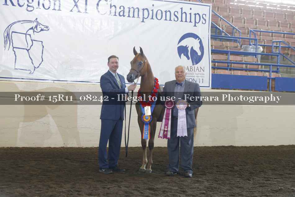 Proof Number 15R11_08242