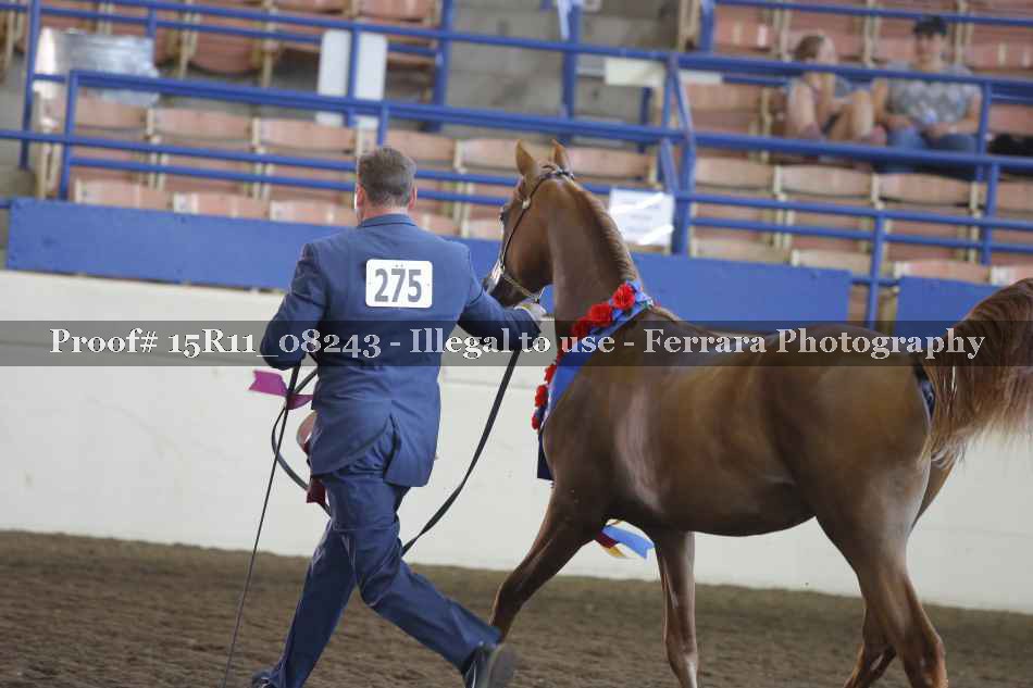 Proof Number 15R11_08243