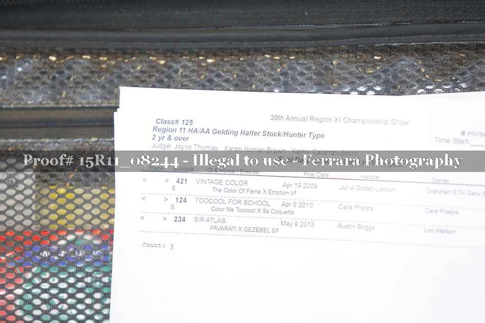 Proof Number 15R11_08244
