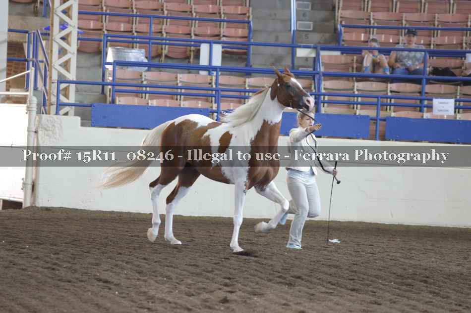 Proof Number 15R11_08246