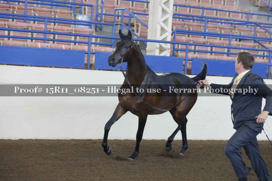 Proof Number 15R11_08251