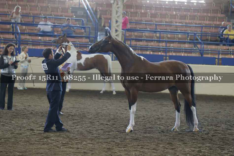 Proof Number 15R11_08255