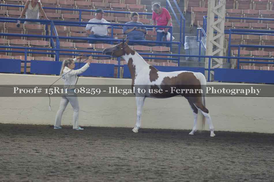 Proof Number 15R11_08259