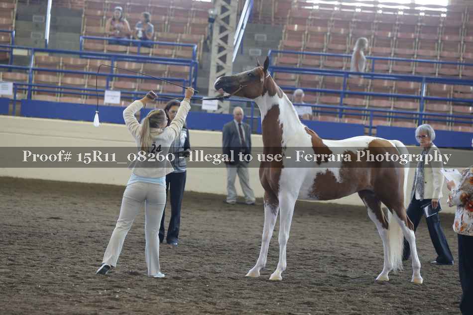 Proof Number 15R11_08260