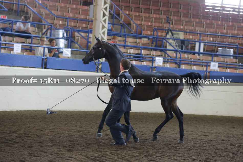 Proof Number 15R11_08270