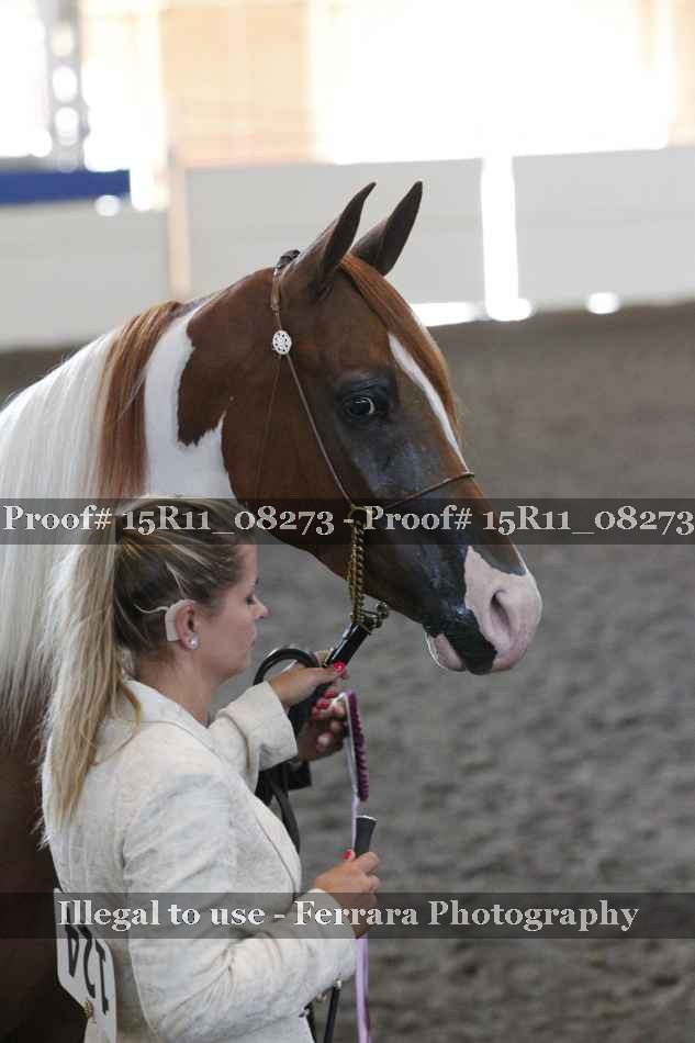 Proof Number 15R11_08273