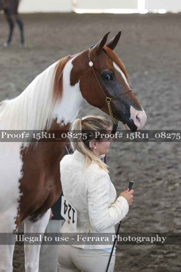 Proof Number 15R11_08275