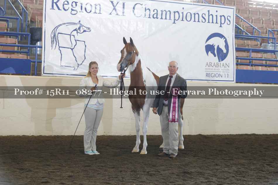 Proof Number 15R11_08277