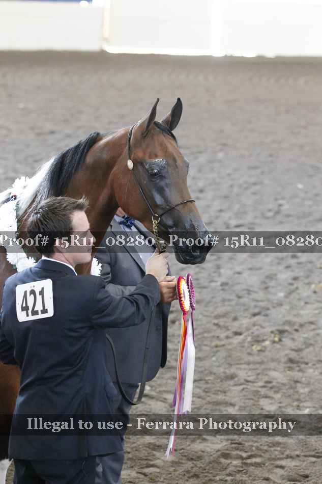 Proof Number 15R11_08280