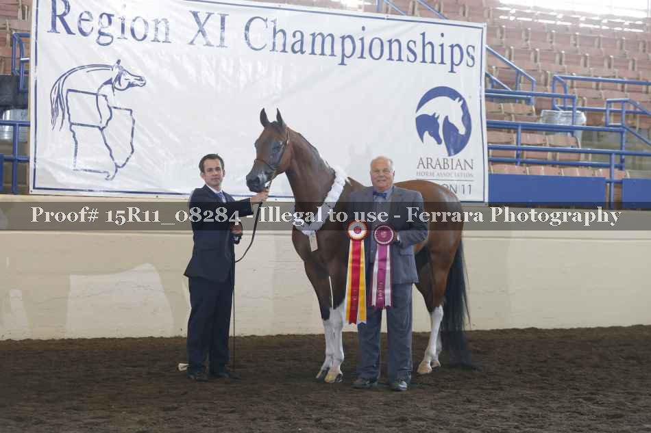 Proof Number 15R11_08284