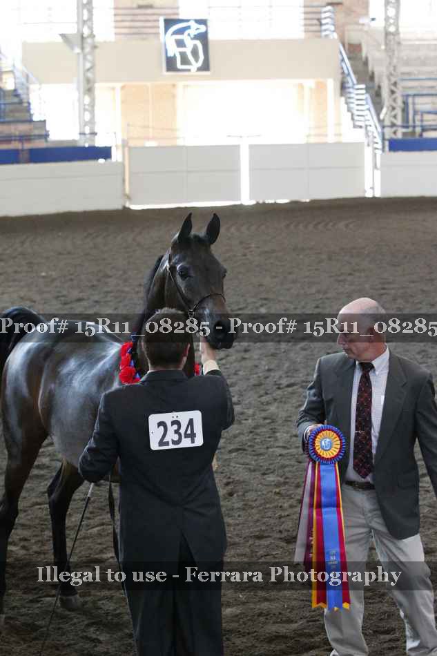 Proof Number 15R11_08285