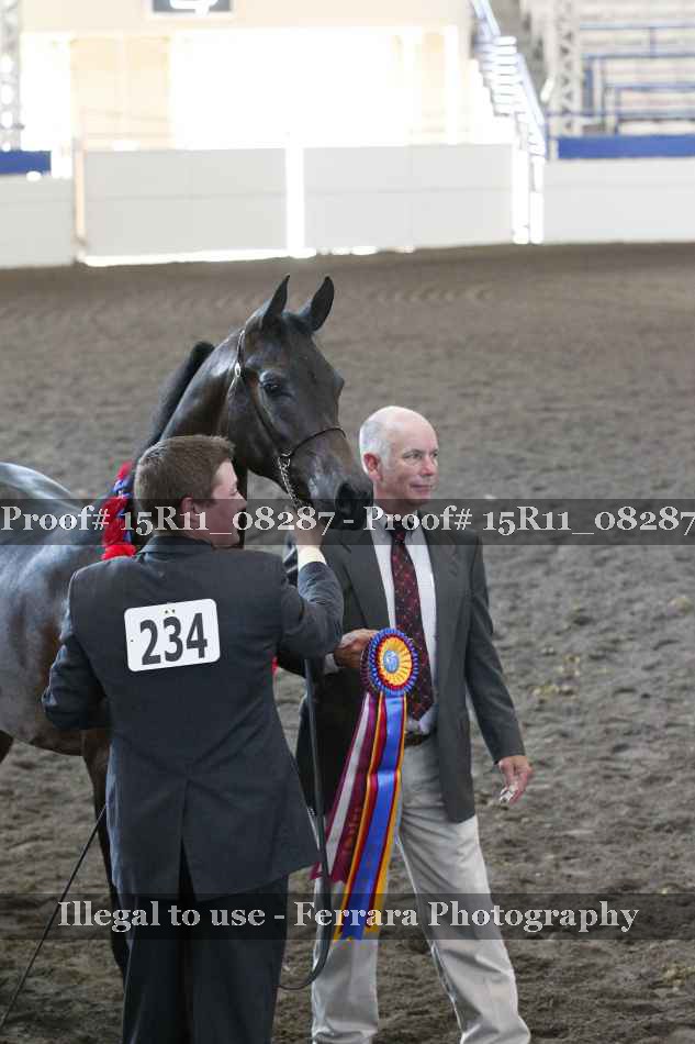 Proof Number 15R11_08287