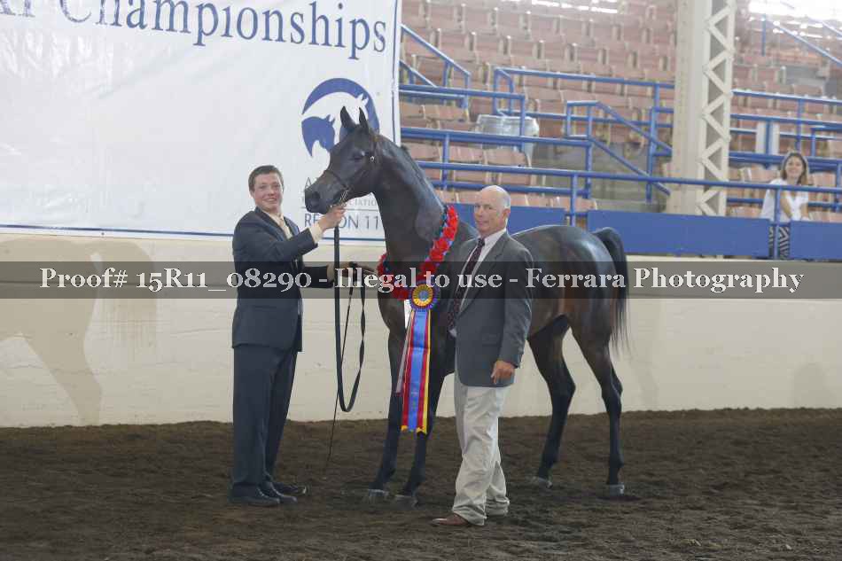 Proof Number 15R11_08290