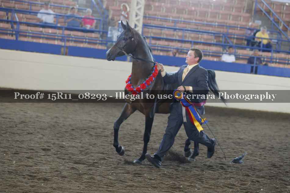 Proof Number 15R11_08293