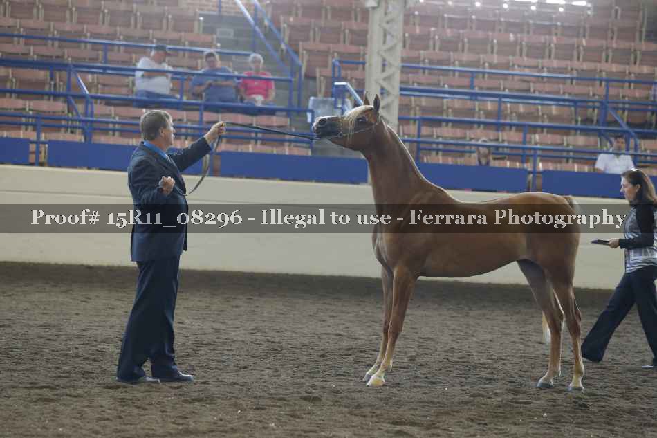Proof Number 15R11_08296