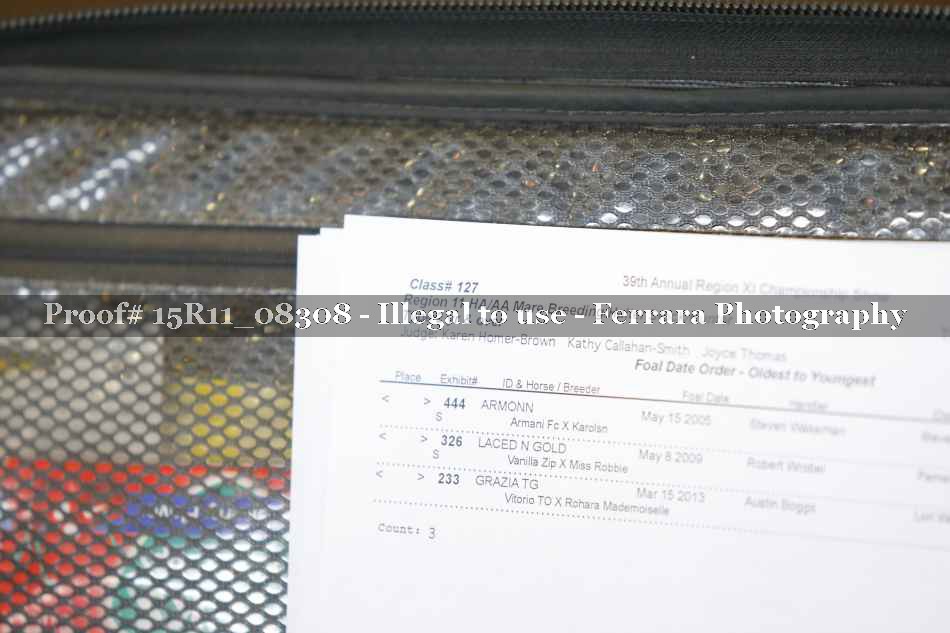 Proof Number 15R11_08308