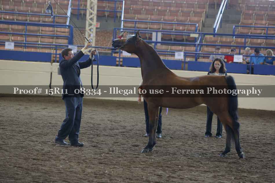 Proof Number 15R11_08334