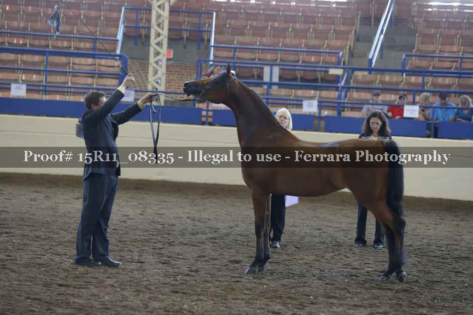 Proof Number 15R11_08335