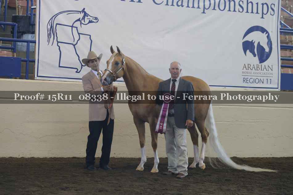 Proof Number 15R11_08338