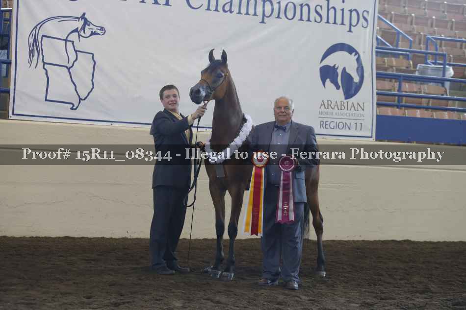 Proof Number 15R11_08344