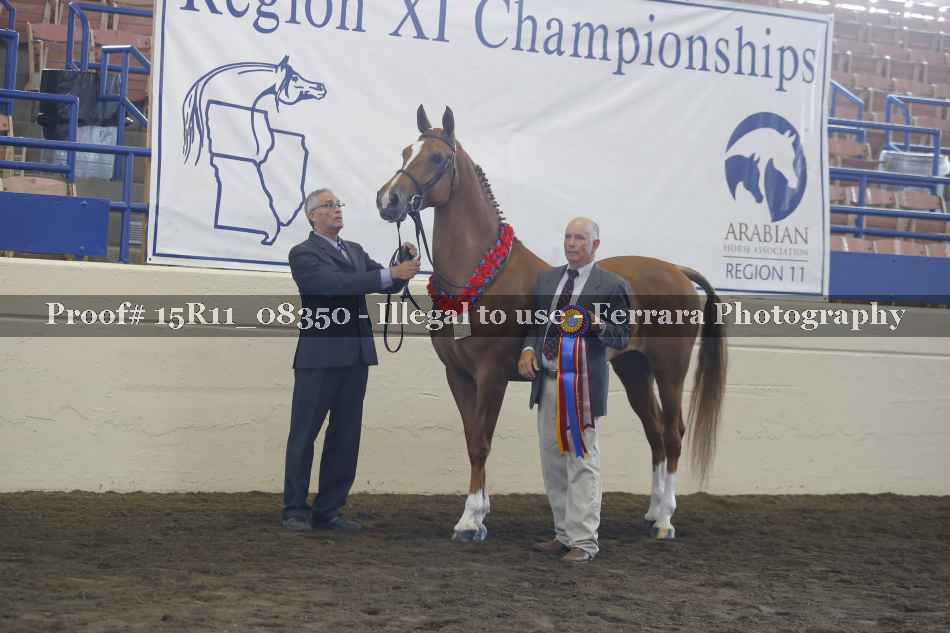 Proof Number 15R11_08350