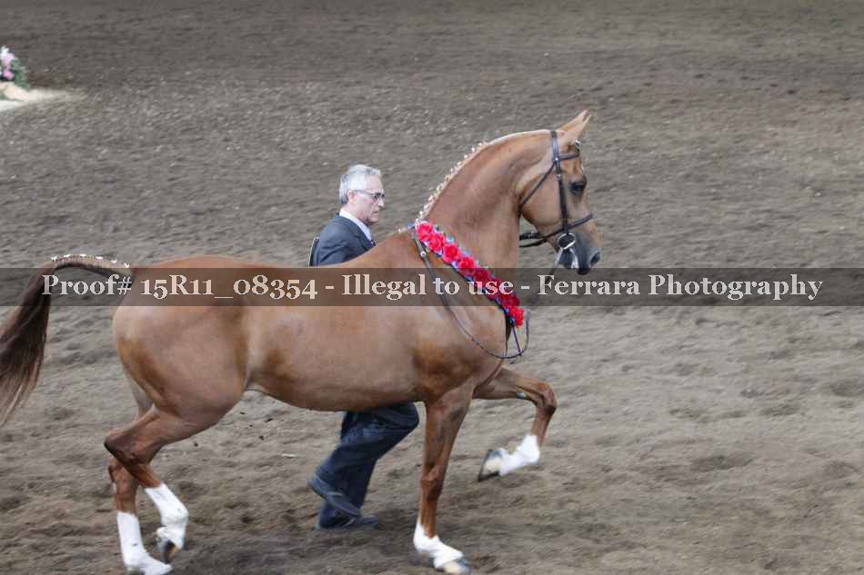 Proof Number 15R11_08354