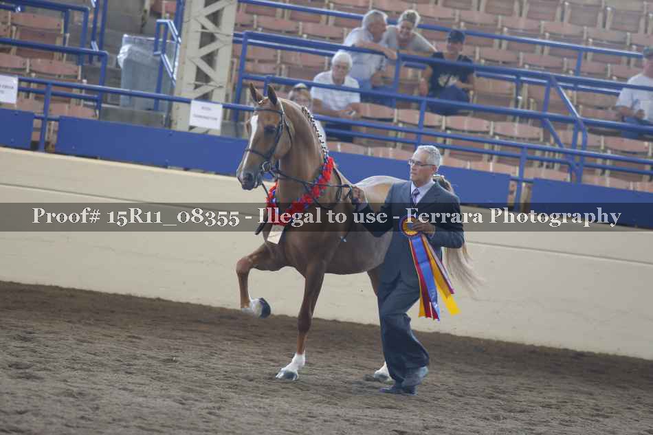 Proof Number 15R11_08355
