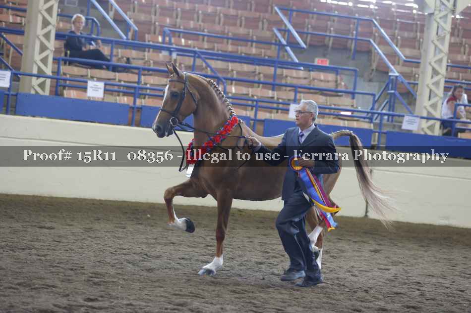 Proof Number 15R11_08356