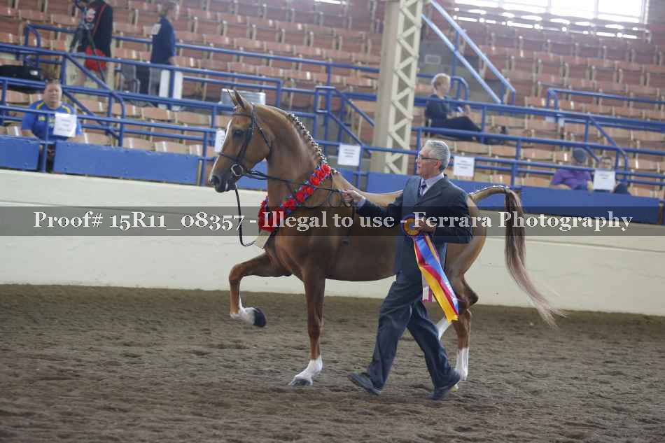 Proof Number 15R11_08357
