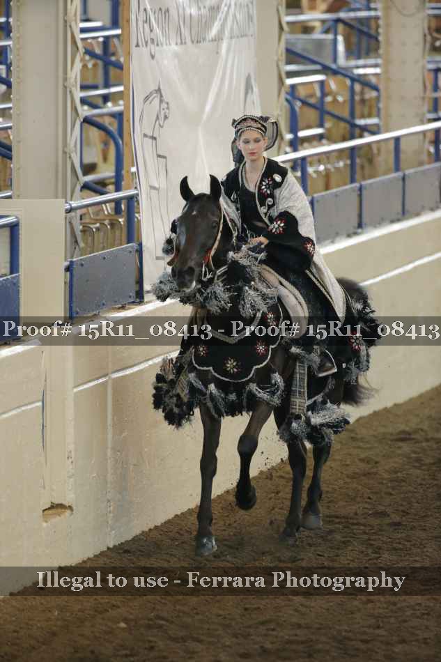 Proof Number 15R11_08413