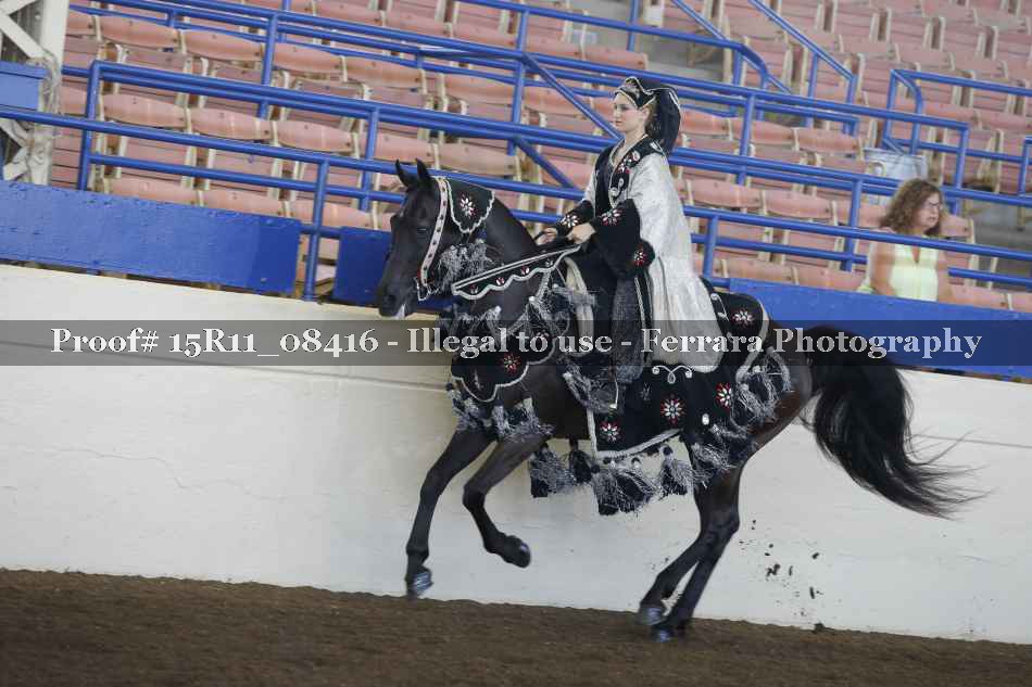 Proof Number 15R11_08416