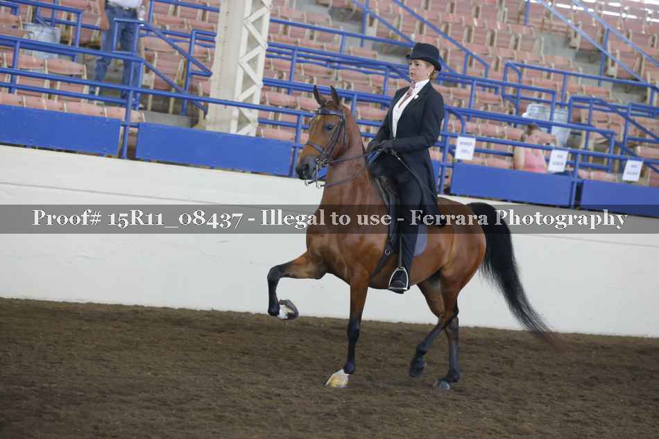 Proof Number 15R11_08437