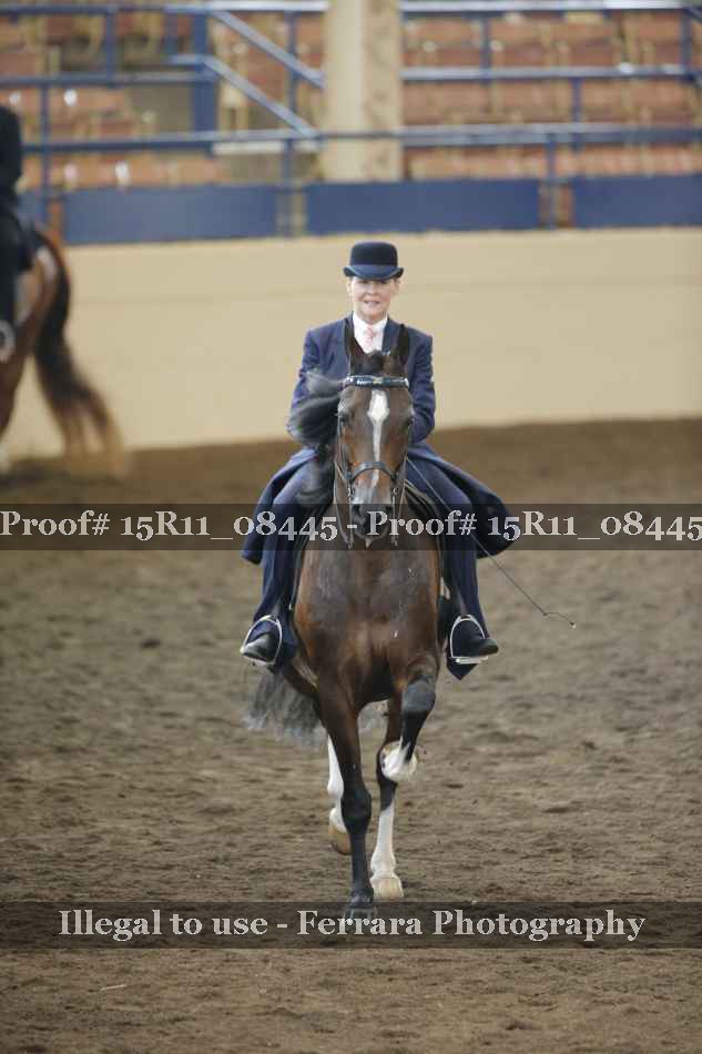 Proof Number 15R11_08445