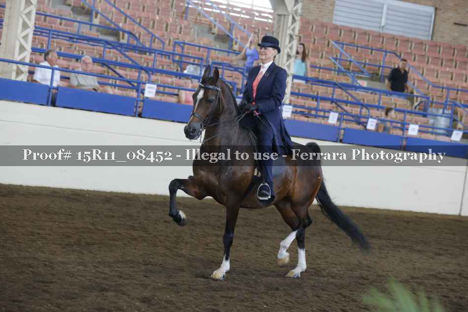 Proof Number 15R11_08452