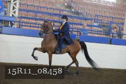 15R11_08458 thumbnail