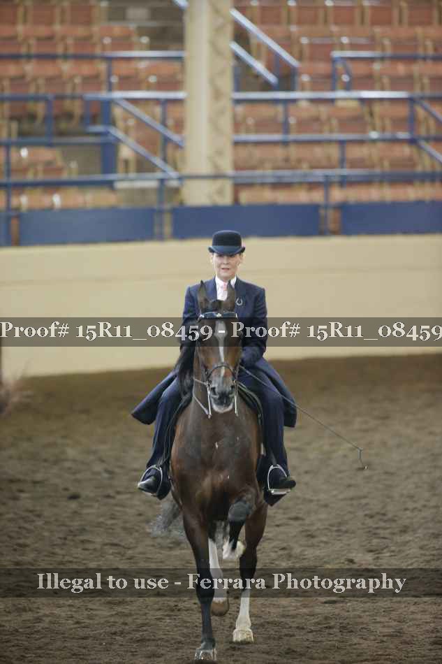 Proof Number 15R11_08459
