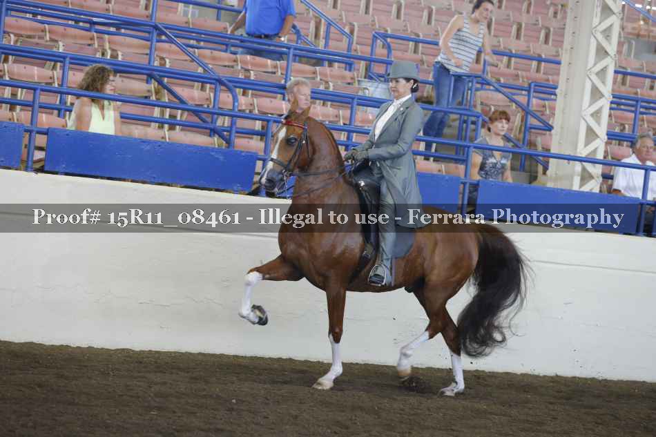 Proof Number 15R11_08461