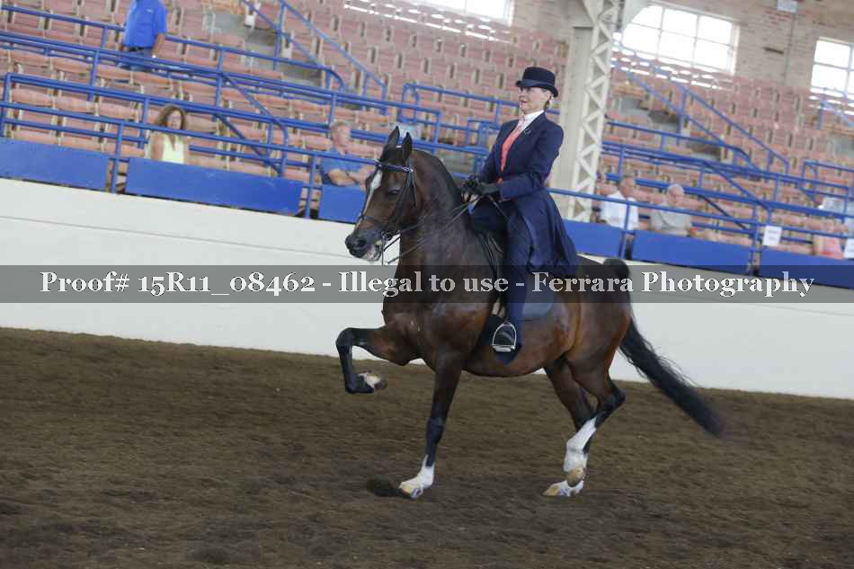 Proof Number 15R11_08462