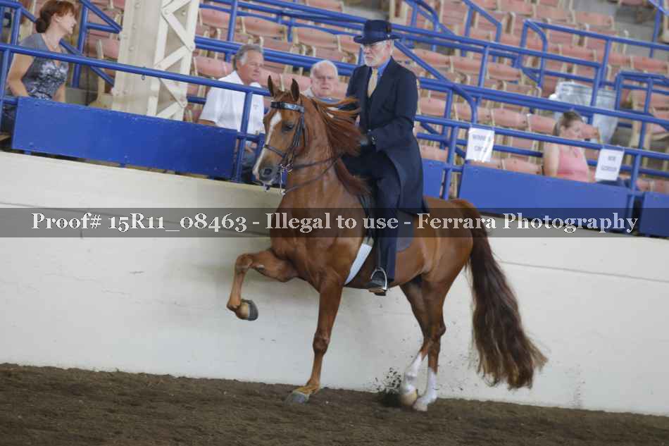 Proof Number 15R11_08463