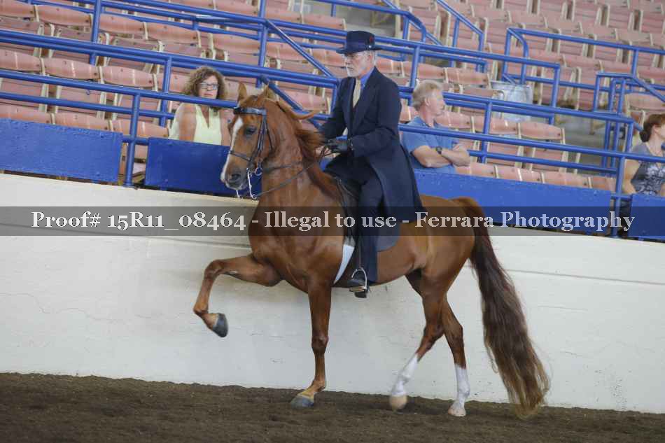 Proof Number 15R11_08464