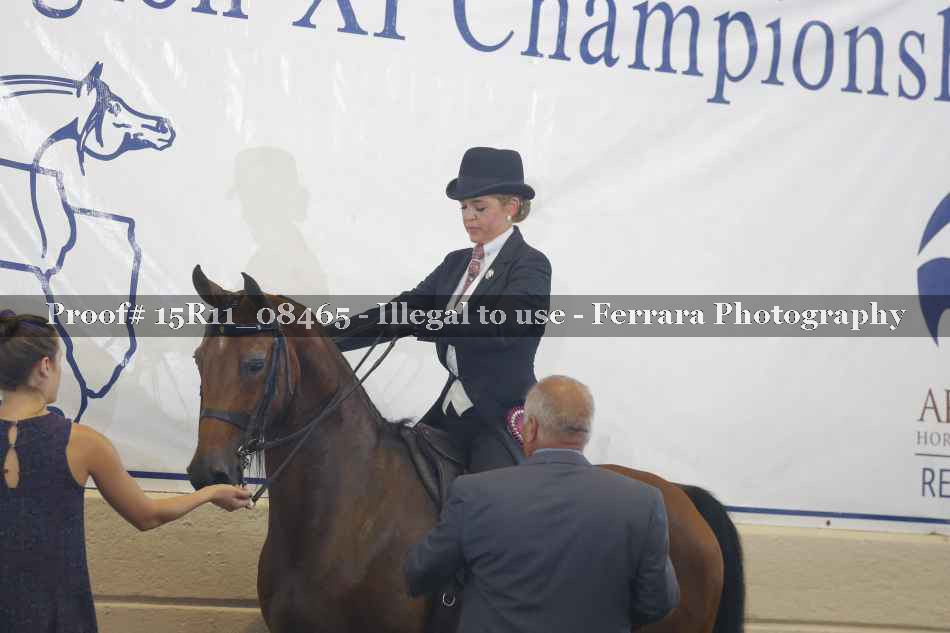 Proof Number 15R11_08465