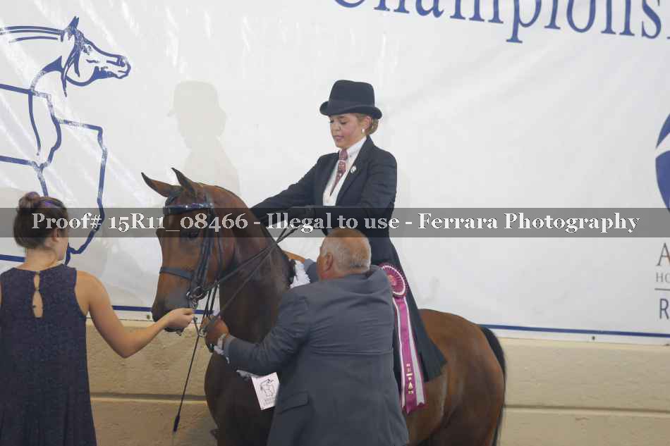 Proof Number 15R11_08466