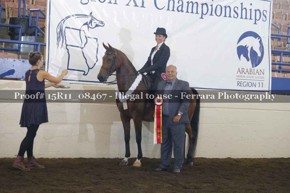 Proof Number 15R11_08467