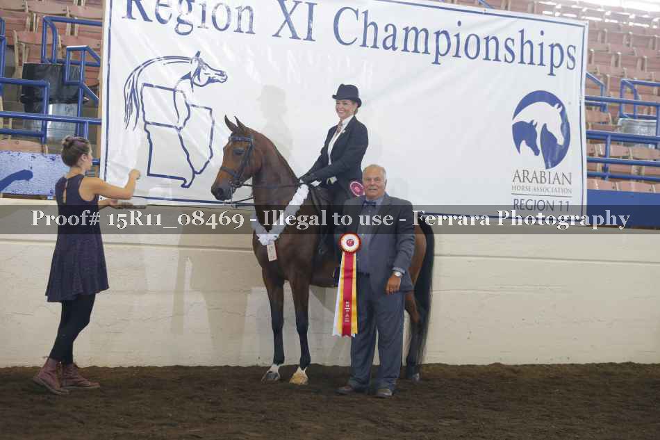 Proof Number 15R11_08469
