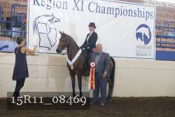 15R11_08469 thumbnail
