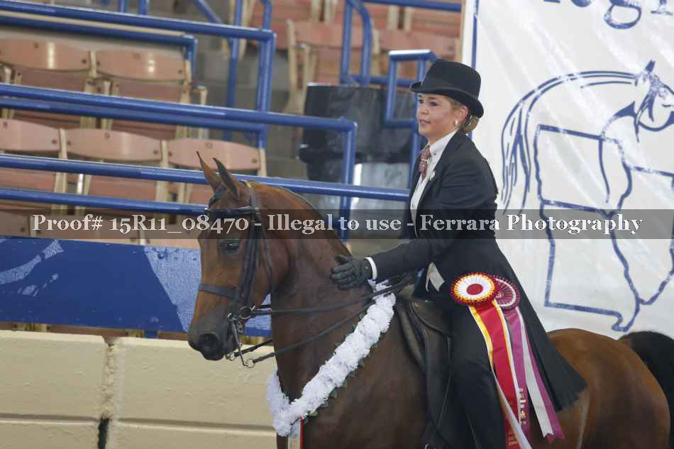 Proof Number 15R11_08470