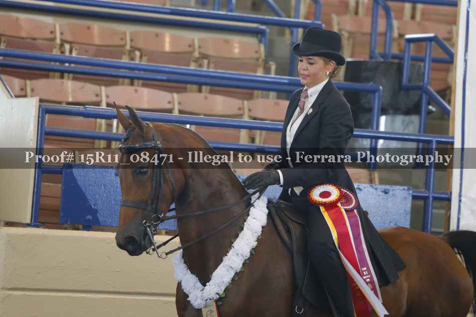 Proof Number 15R11_08471