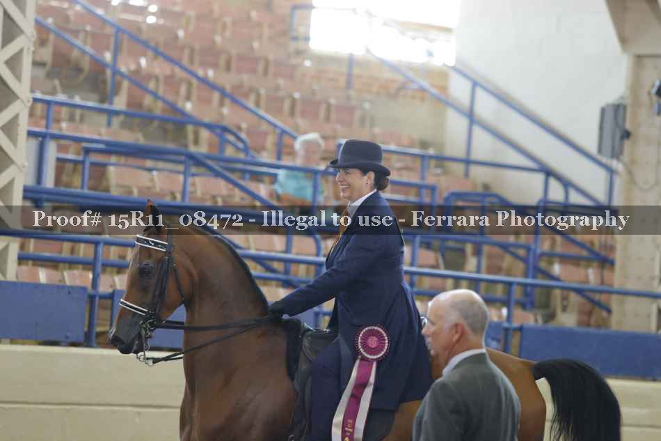 Proof Number 15R11_08472