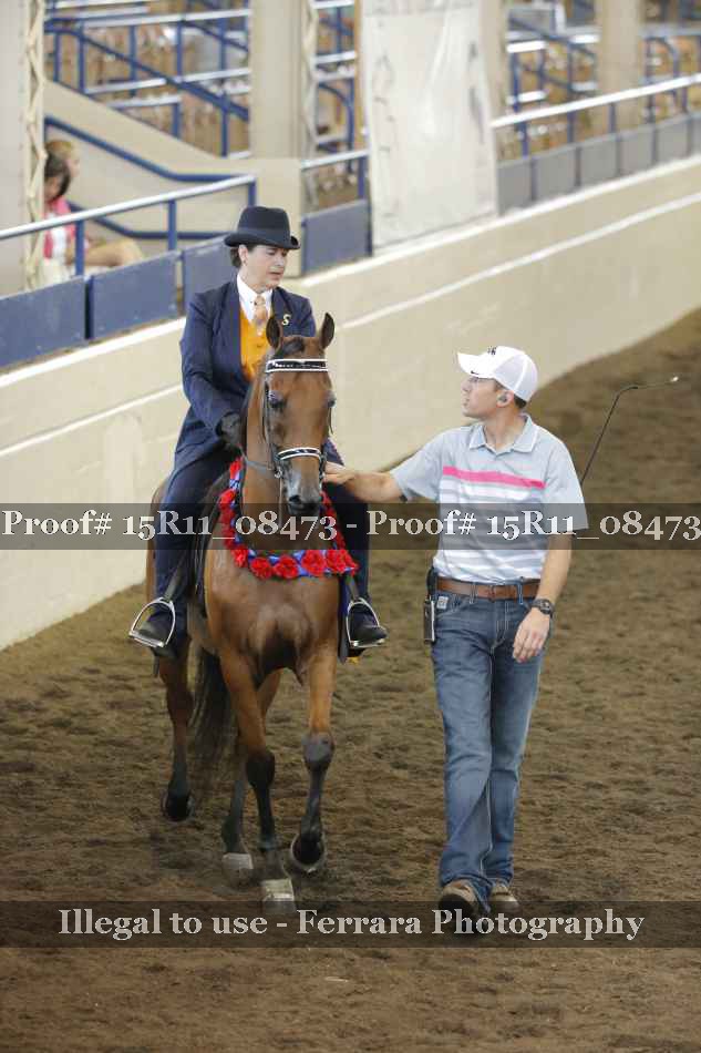 Proof Number 15R11_08473