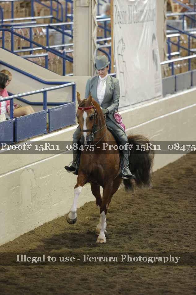 Proof Number 15R11_08475
